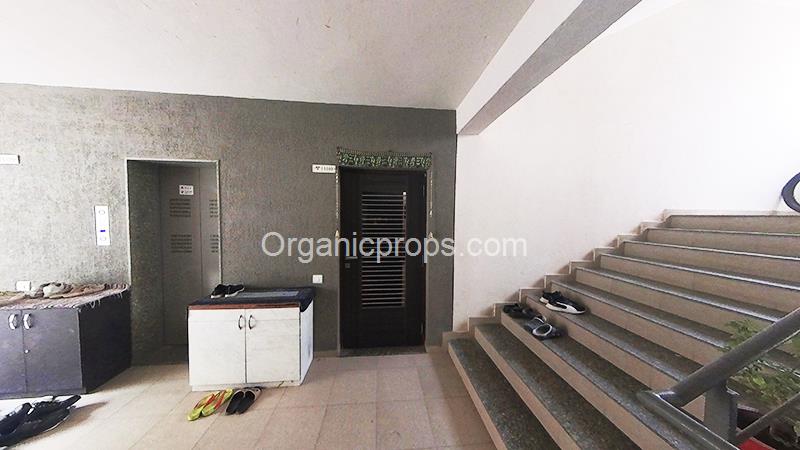 IMG_20230903_124357_00_081 copy20231026180847719.JPG